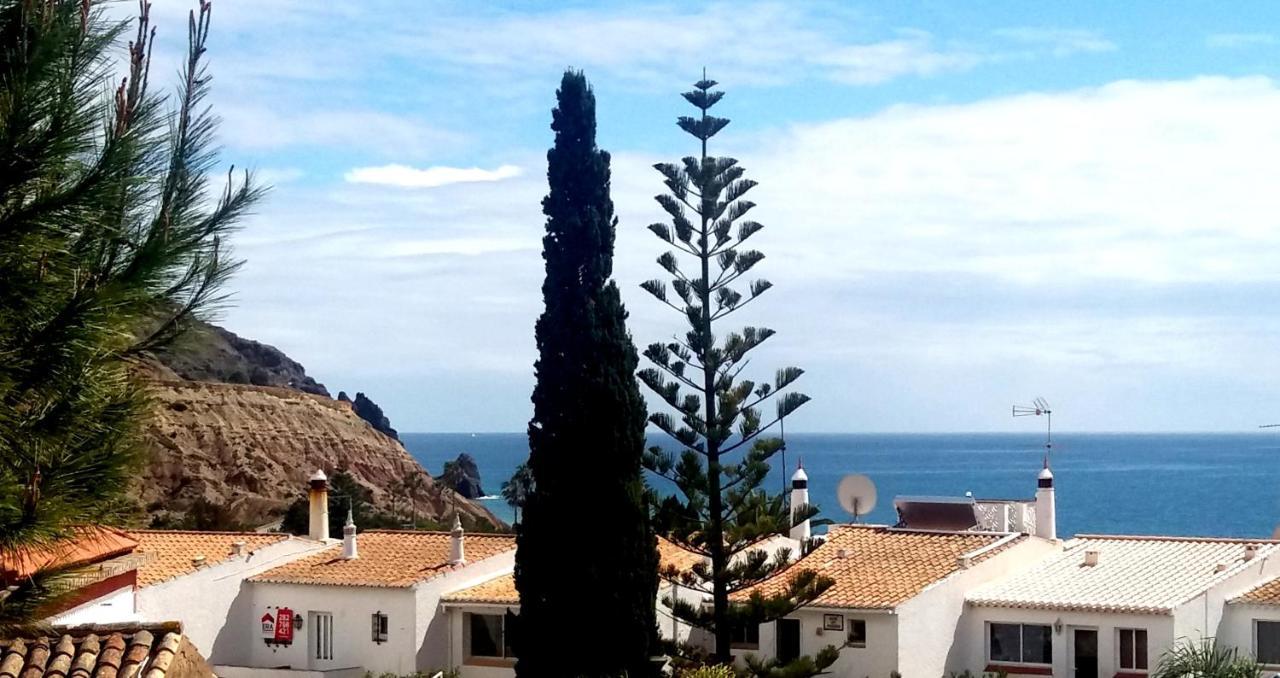 Queen Palm Praia Da Luz Luaran gambar